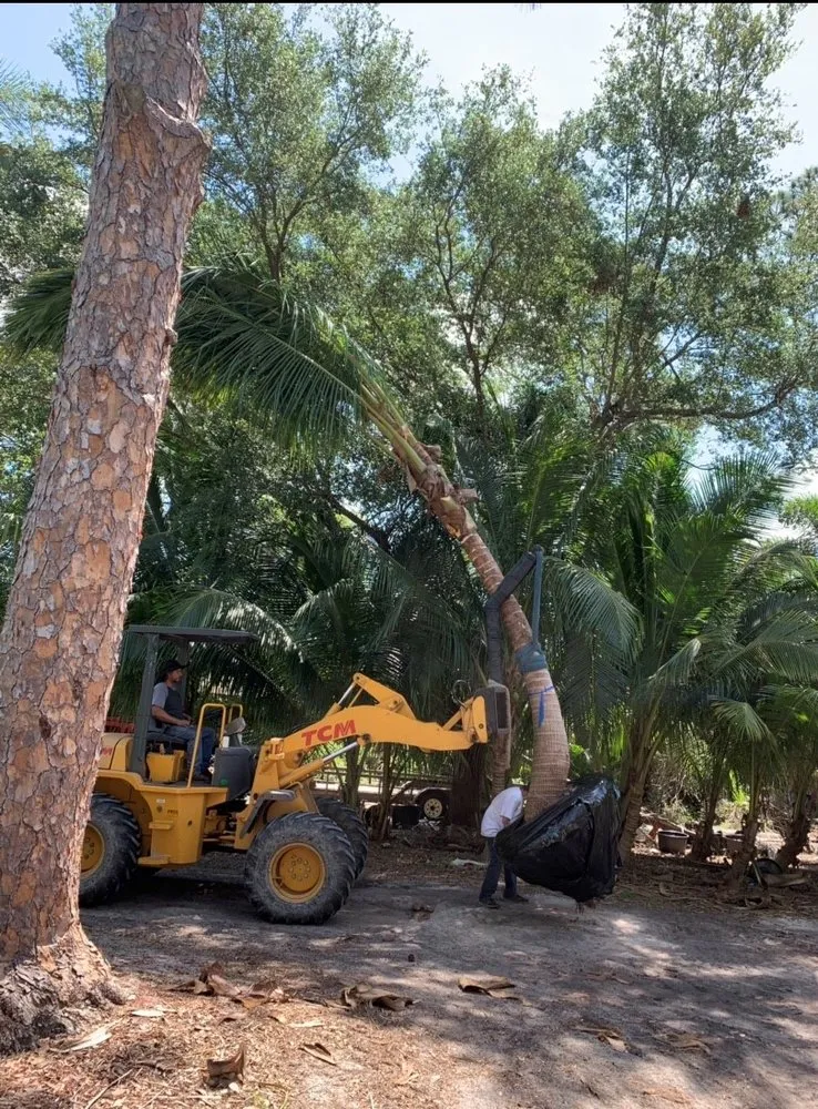 Local landscape design for residential properties across Lake Worth, FL - South Coast Grower