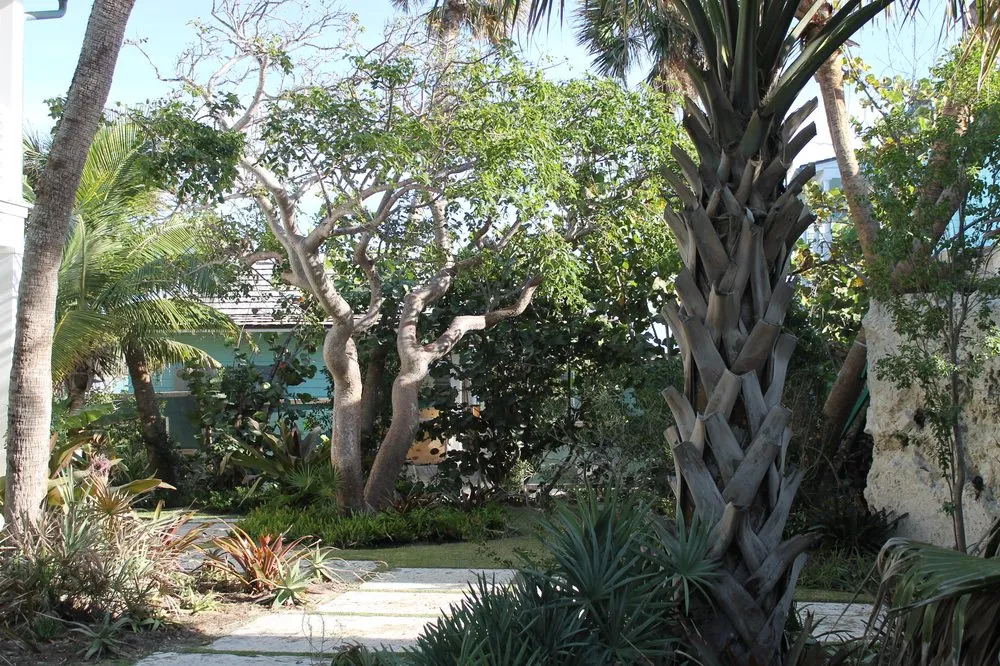 Local landscaping services experts serving Lake Worth, FL - South Coast Grower