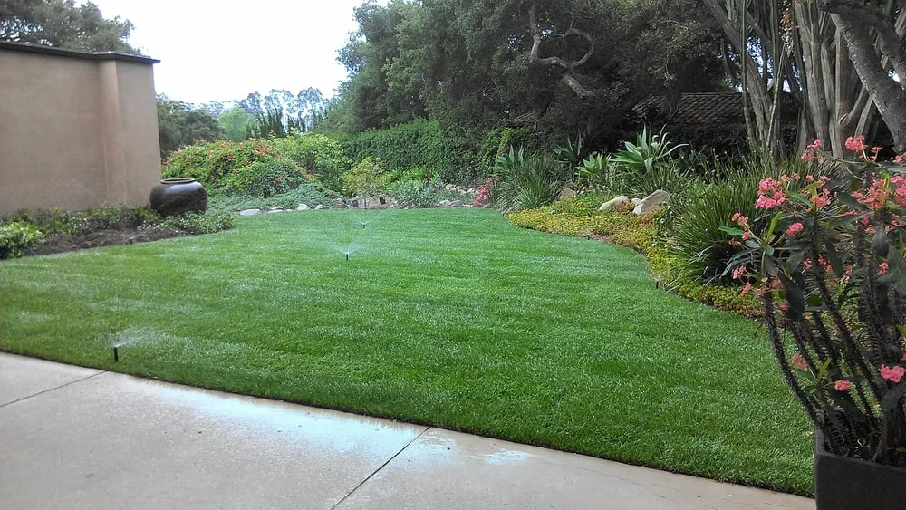 Professional garden landscaping near you in Santa Barbara, CA by South Coast Landscape