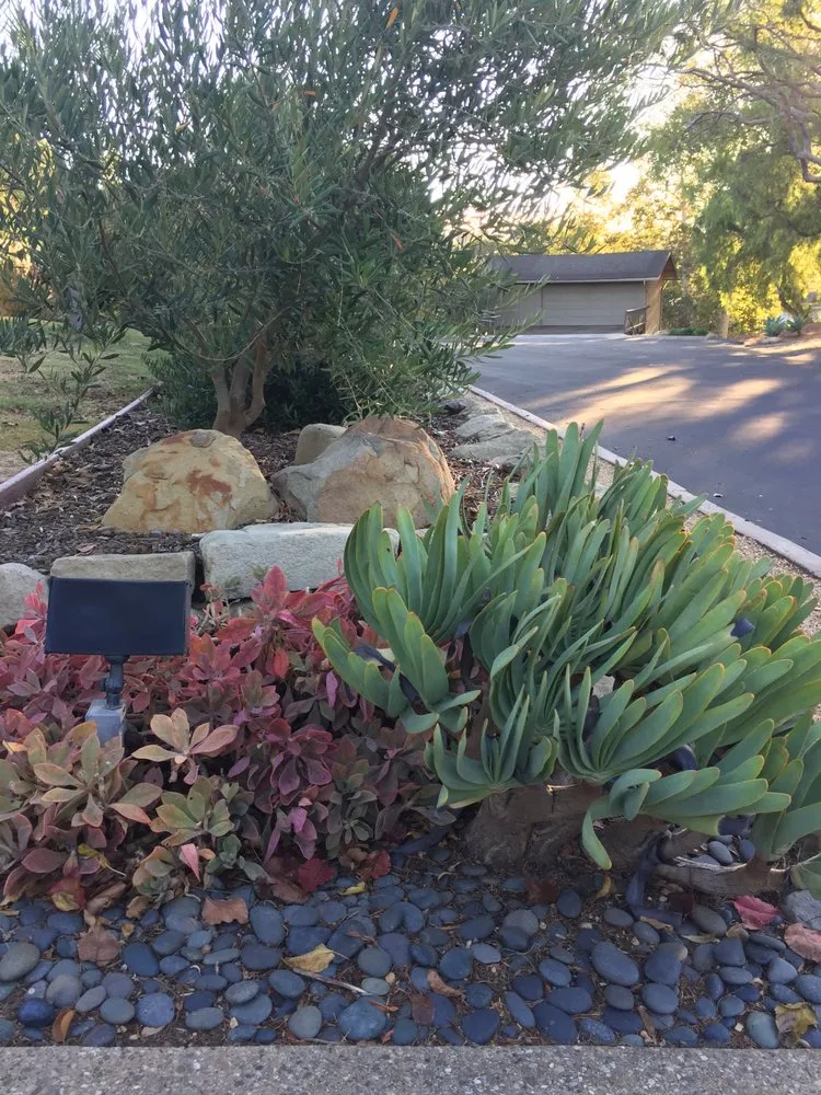 Expert lawn care service in Santa Barbara, CA - South Coast Landscape