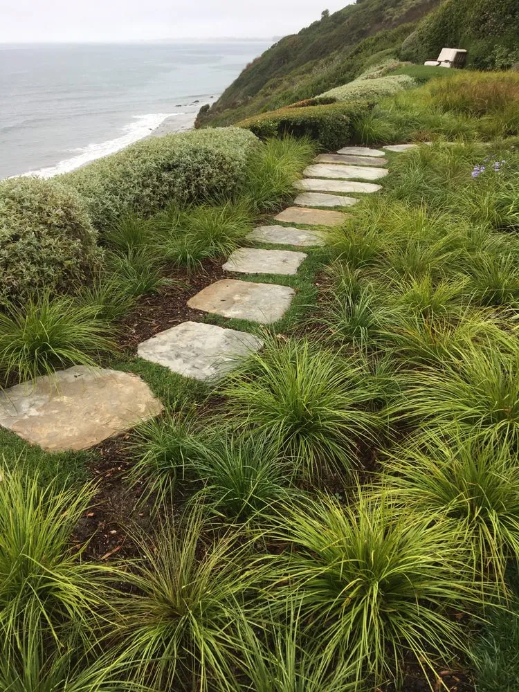 Top-rated yard cleanup service in Santa Barbara, CA by South Coast Landscape