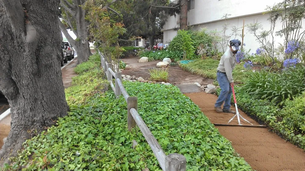 Affordable yard cleanup service in Santa Barbara, CA by South Coast Landscape