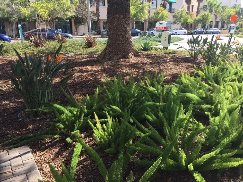 Trusted landscape design experts serving Santa Barbara, CA - South Coast Landscape