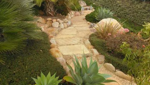 Expert yard cleanup service near you in Santa Barbara, CA by South Coast Landscape
