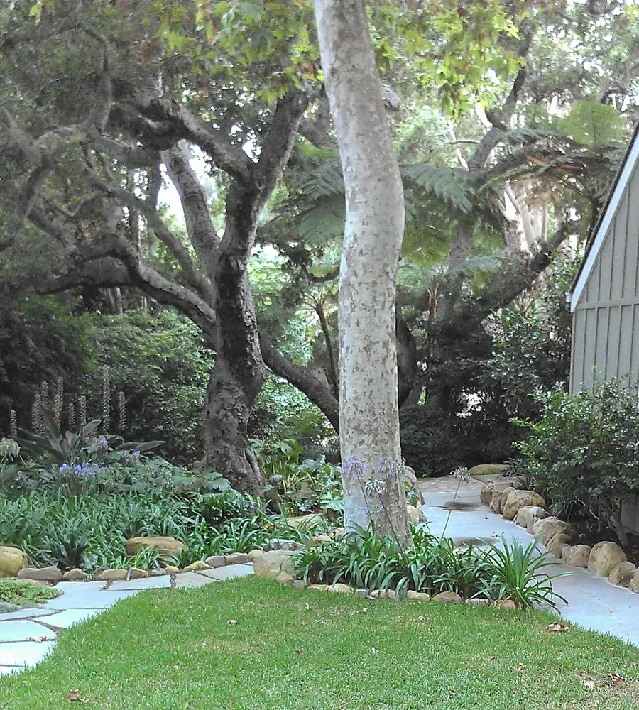 Trusted outdoor landscaping with custom design in Santa Barbara, CA by South Coast Landscape