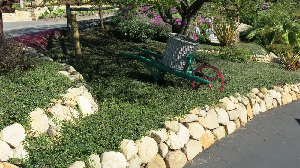 Reliable yard cleanup service in Santa Barbara, CA by South Coast Landscape