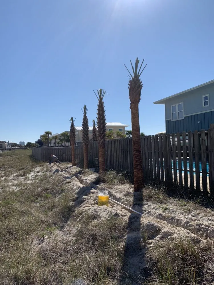 Top-rated lawn care service experts serving Pensacola, FL - South Coast Landscaping