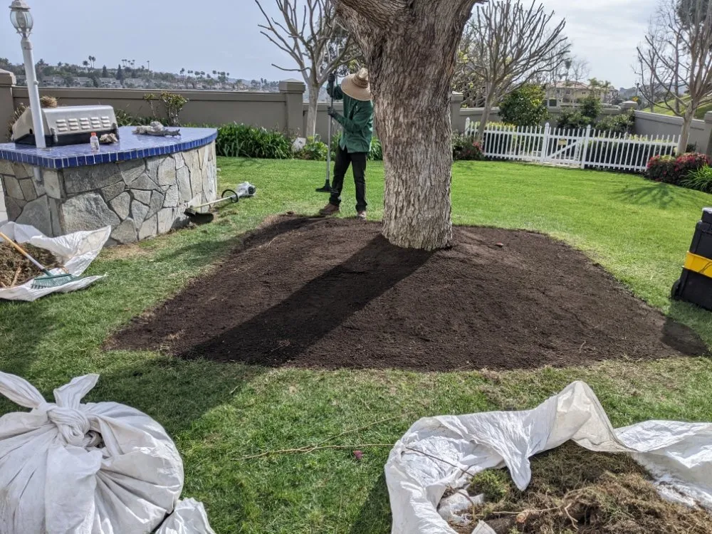 Local yard cleanup service experts serving San Clemente, CA - South county landscapes