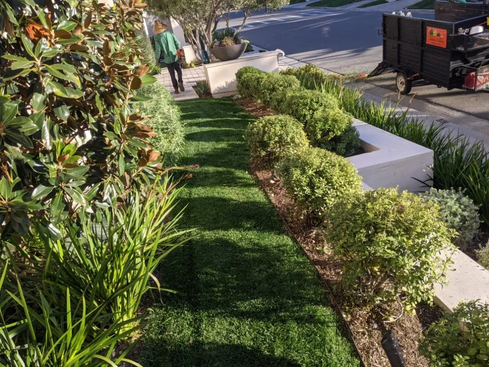 Local yard cleanup service in San Clemente, CA - South county landscapes