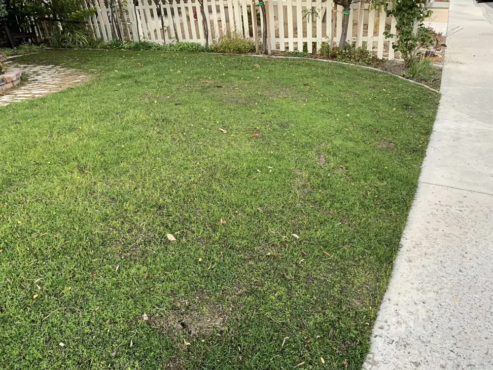 Reliable landscaping services in San Clemente, CA - South county landscapes