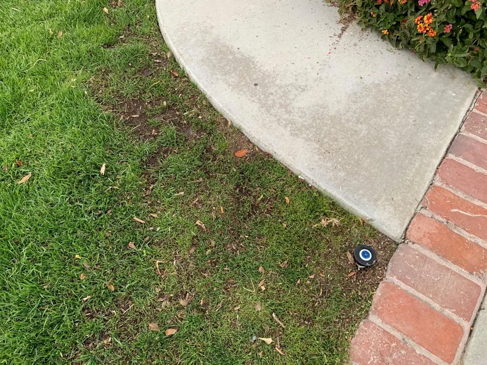 Trusted lawn mowing service experts serving San Clemente, CA - South county landscapes