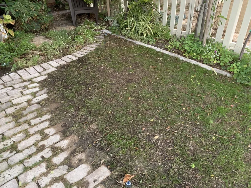 Professional yard cleanup service for outdoor upgrades across San Clemente, CA - South county landscapes