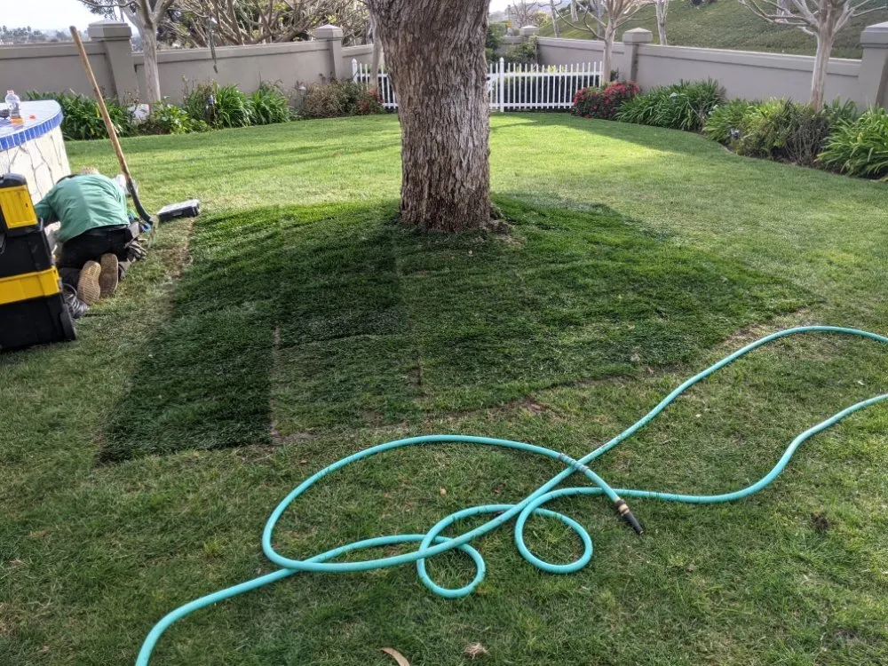 Affordable garden landscaping experts serving San Clemente, CA - South county landscapes