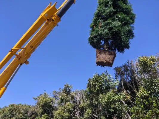 South county landscapes