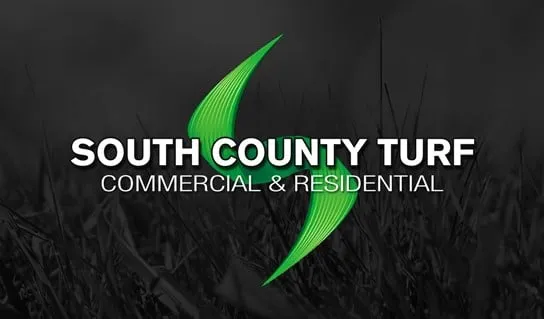 Top-rated yard cleanup service in Rancho Santa Margarita, CA by South County Turf