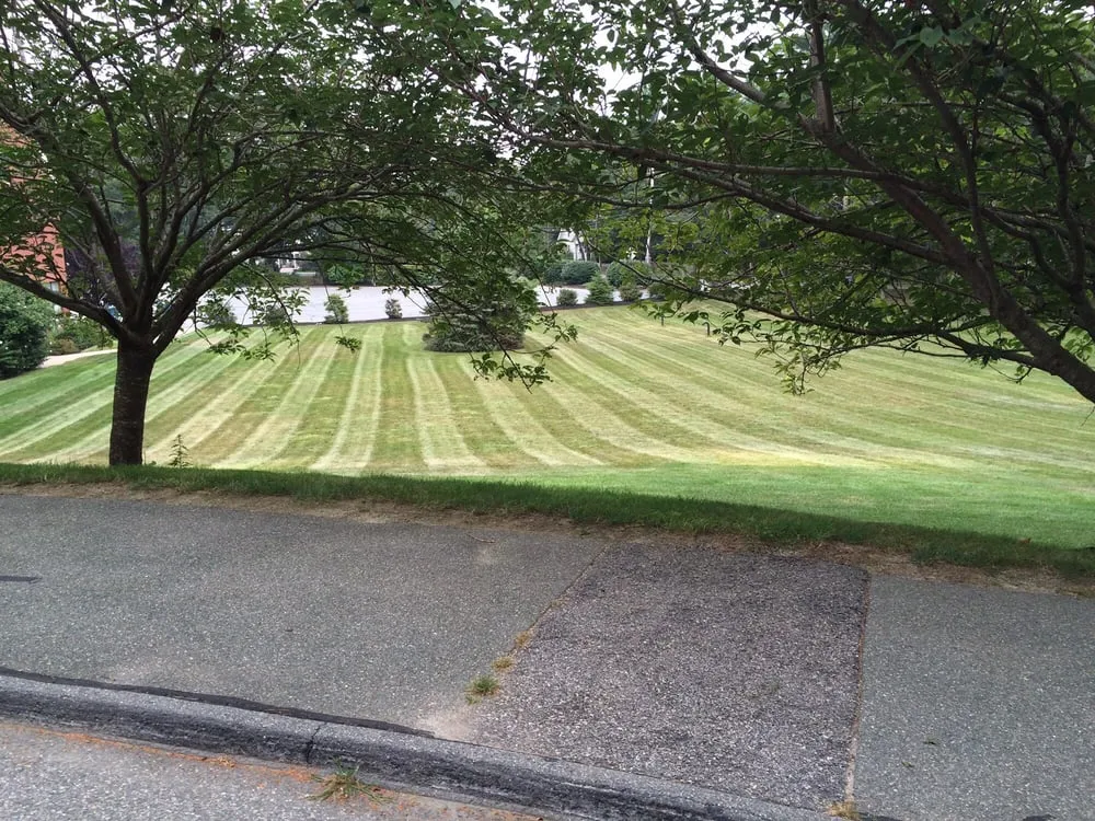 Top-rated landscaping services in Duxbury, MA by South East Property Managment