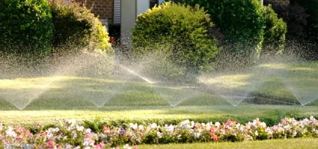 Expert landscape installation in Chesapeake, VA - South Eastern VA Tree Service