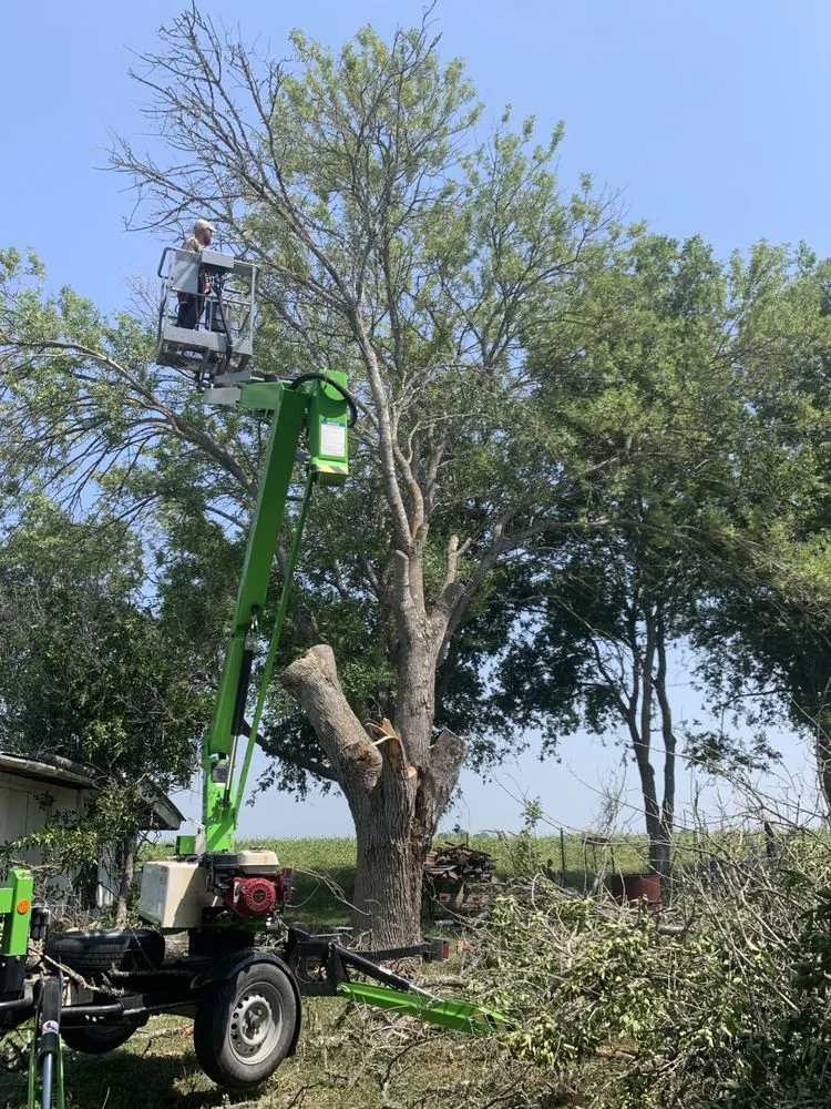 Custom landscape installation for homes in Cibolo, TX by South Eden Food Forest