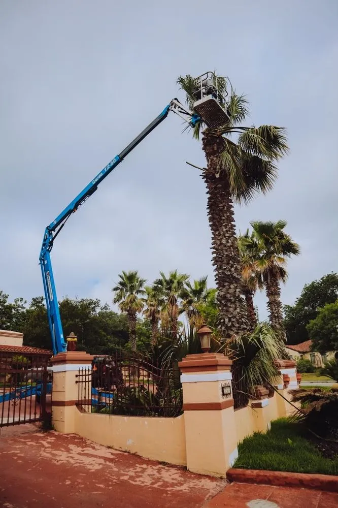 Reliable lawn mowing service in Cibolo, TX - South Eden Food Forest