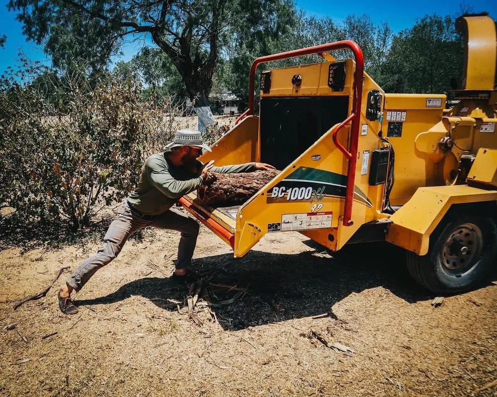 Affordable landscape design for residential properties across Cibolo, TX - South Eden Food Forest