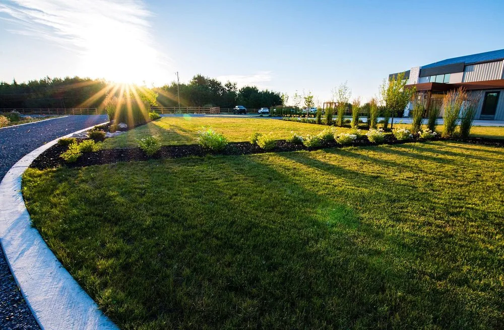 Reliable yard maintenance with custom design in Orlando, FL by South Eola Lawn Care