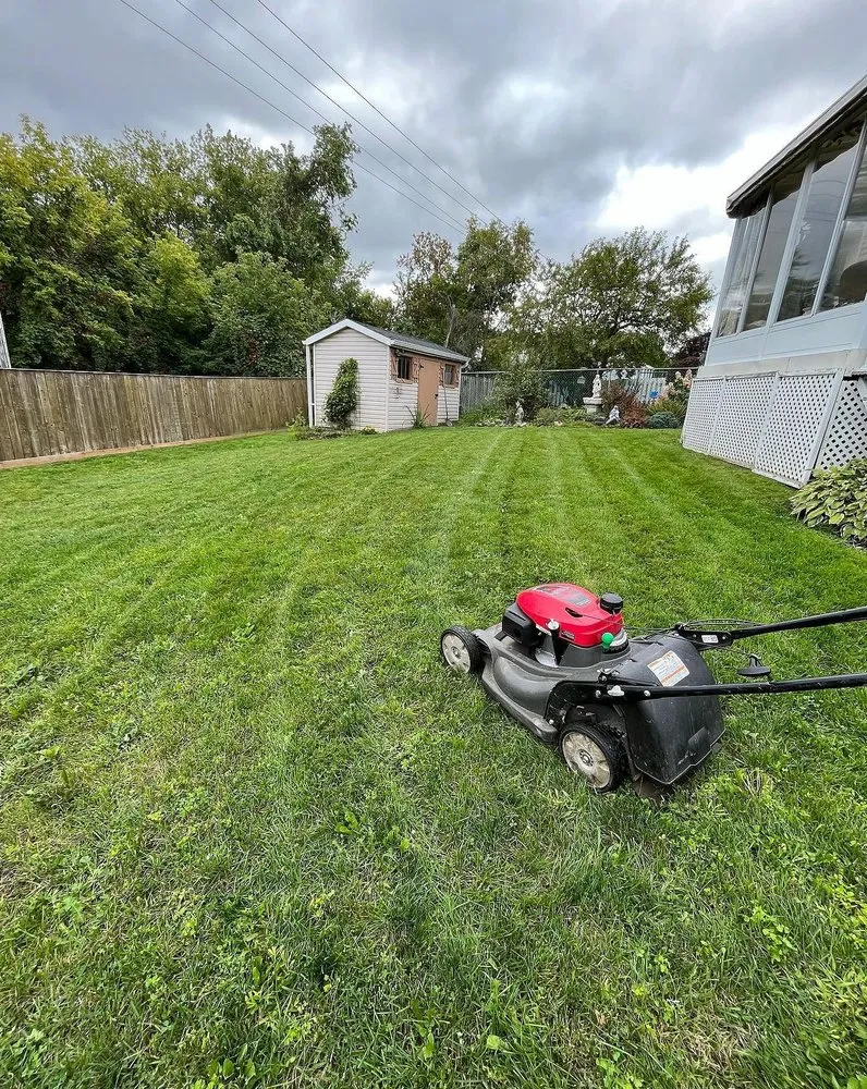 Expert lawn mowing service in Orlando, FL - South Eola Lawn Care
