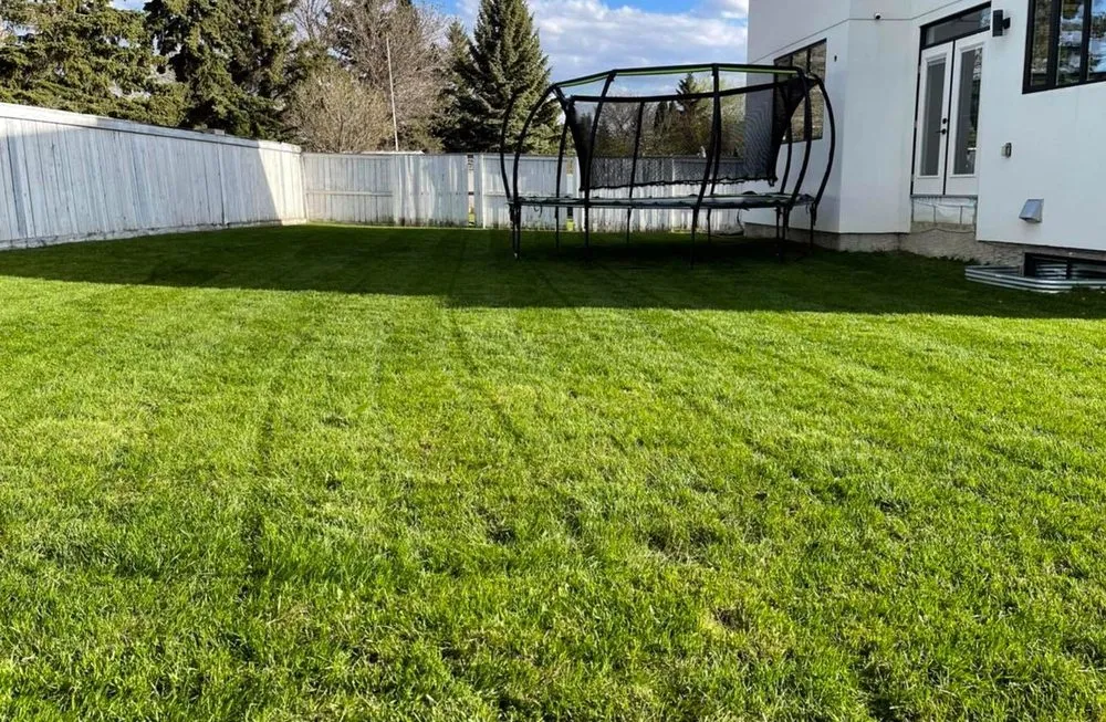 Custom garden landscaping for residential properties across Orlando, FL - South Eola Lawn Care