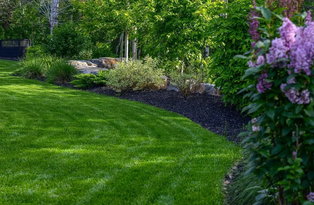 Top-rated yard maintenance experts serving Orlando, FL - South Eola Lawn Care