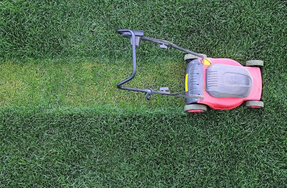 Custom landscaping services for outdoor upgrades across Orlando, FL - South Eola Lawn Care