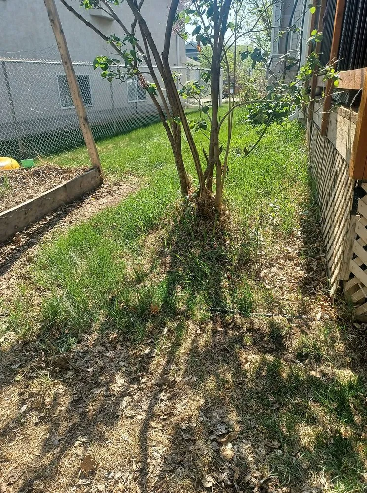 Affordable yard maintenance in Orlando, FL - South Eola Lawn Care