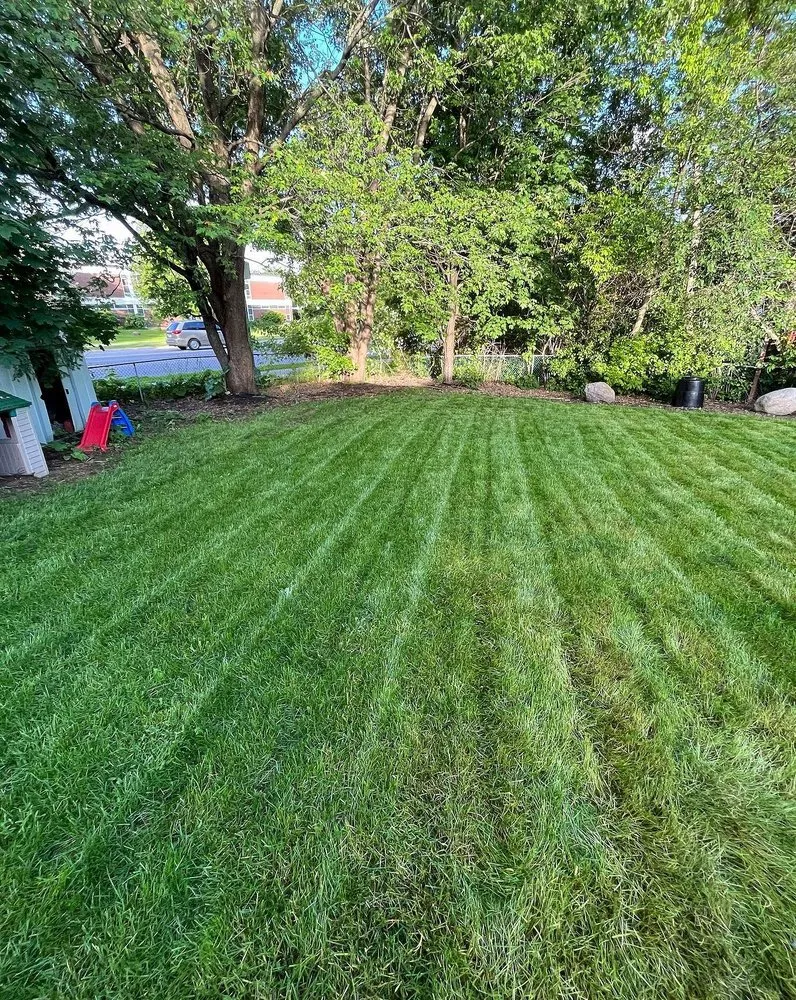 Top-rated landscape installation experts serving Orlando, FL - South Eola Lawn Care