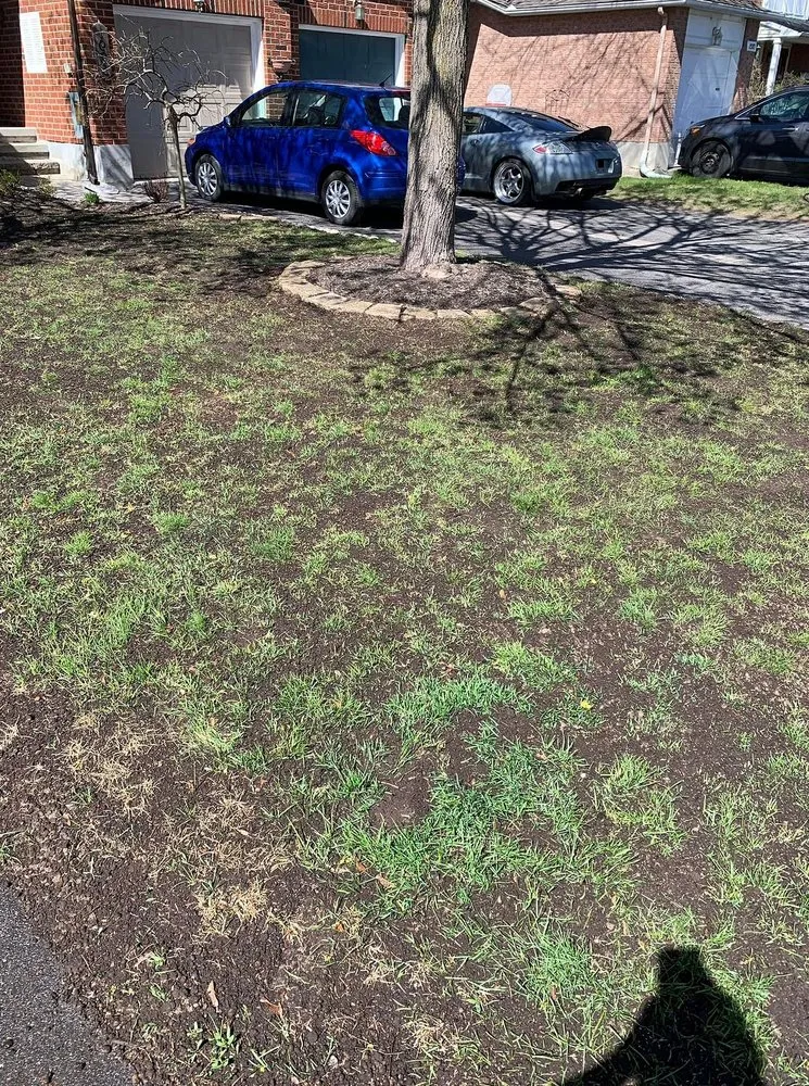 Expert residential landscaping for residential properties across Orlando, FL - South Eola Lawn Care