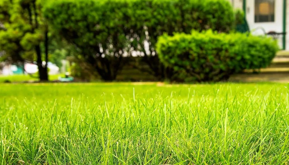 Affordable residential landscaping in Orlando, FL - South Eola Lawn Care