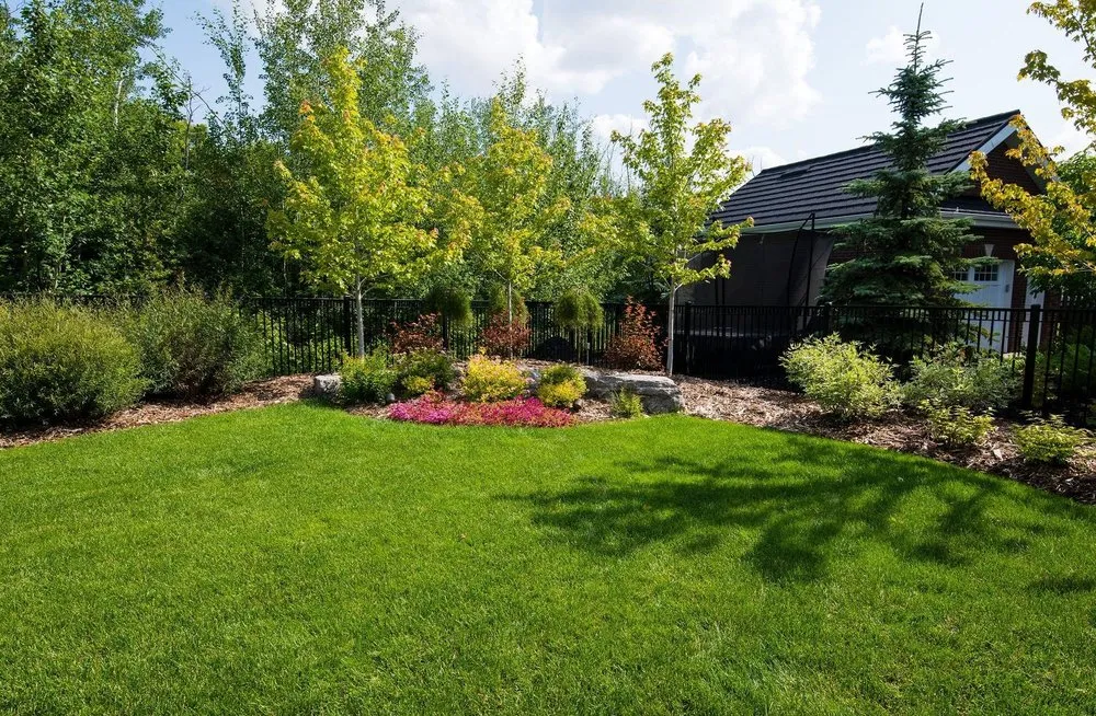 Affordable lawn care service in Orlando, FL - South Eola Lawn Care