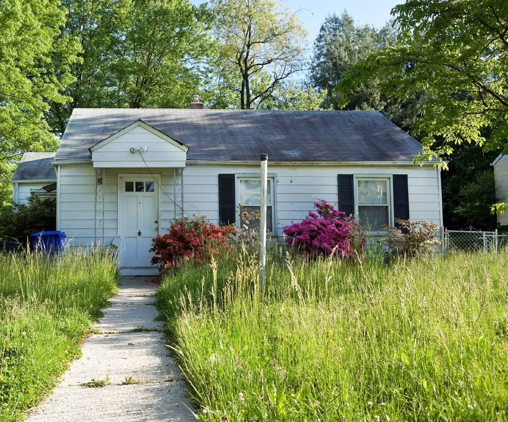 Expert landscape installation in Orlando, FL by South Eola Lawn Care