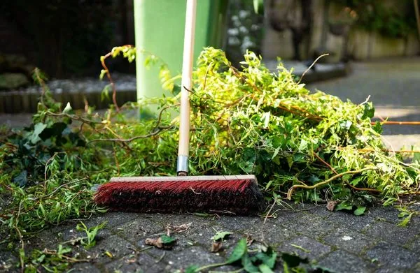 South Eola Lawn Care Logo