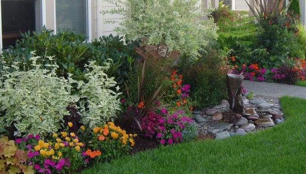 Affordable yard cleanup service in Hollywood, FL - South FL Eco-Friendly Landscapes