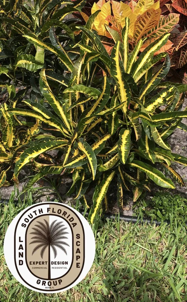 Reliable garden landscaping experts serving Miami, FL - South Florida Landscape Group