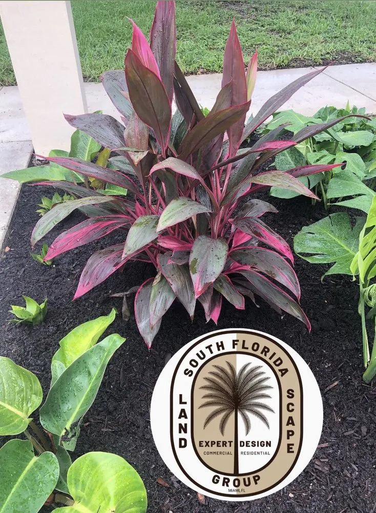 Top-rated landscape installation near you in Miami, FL by South Florida Landscape Group