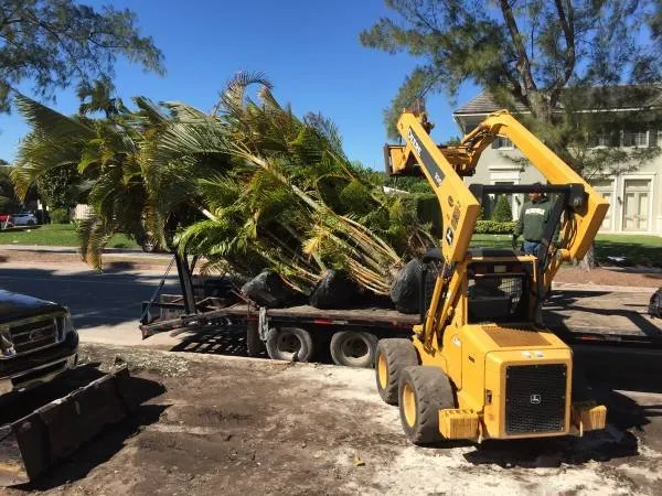 Reliable lawn mowing service in Miami, FL - South Florida Landscape Group