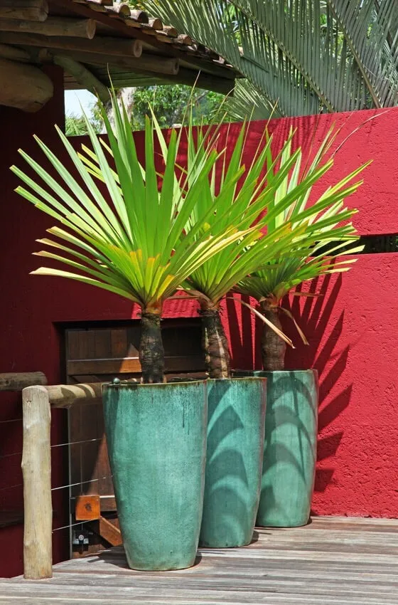 Top-rated landscaping services in Miami, FL - South Florida Landscape Group