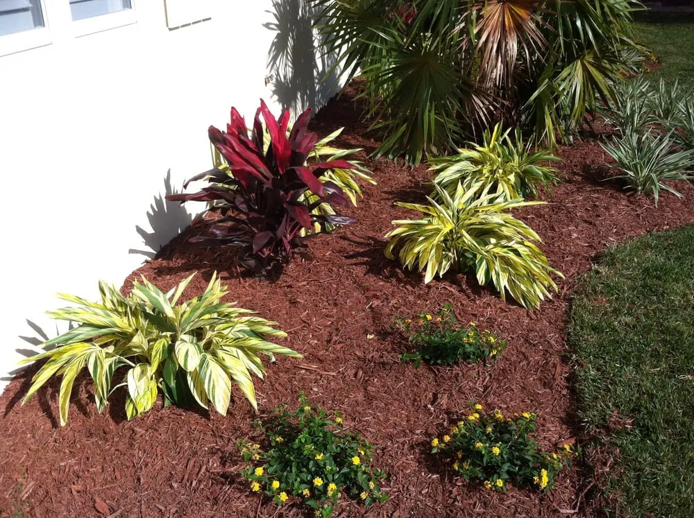 Local lawn care service for year-round maintenance in Miami, FL by South Florida Landscape Group