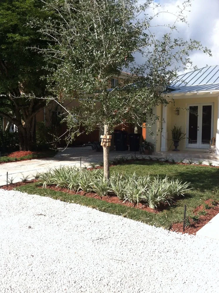 Reliable landscaping services in Miami, FL - South Florida Landscape Group