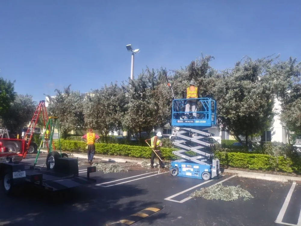 Affordable lawn mowing service experts serving Homestead, FL - South Florida Landscaping Services