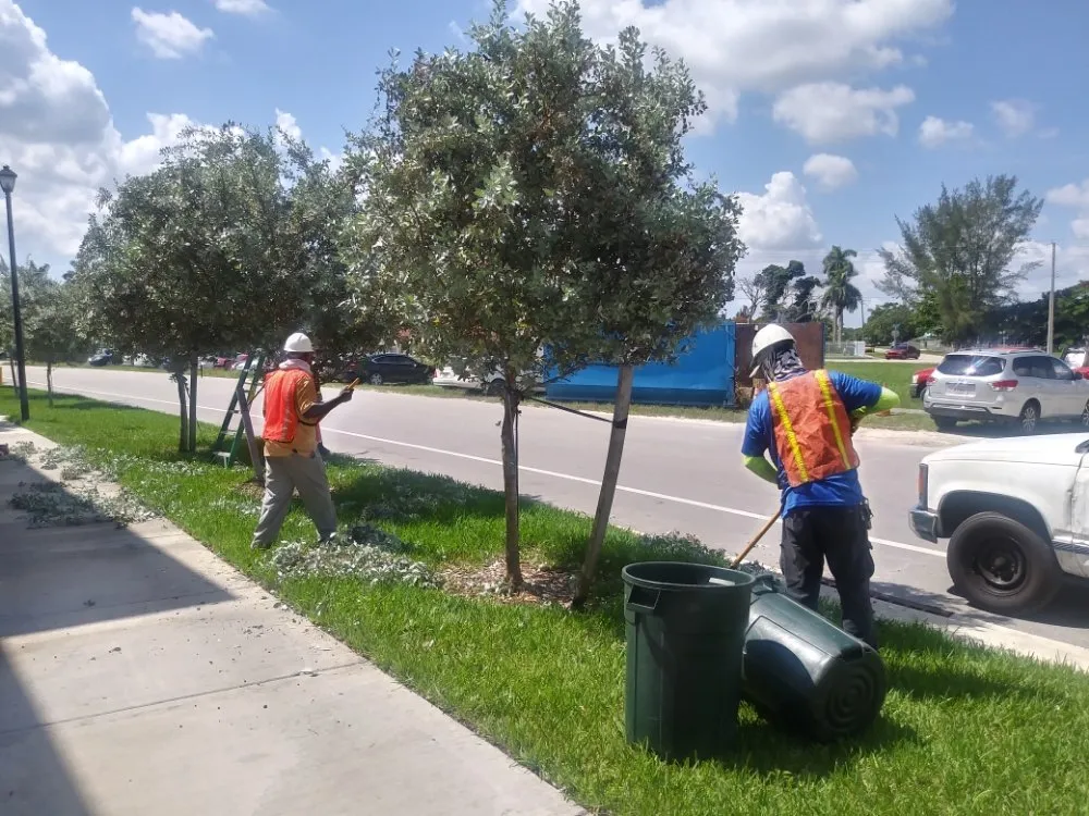 Custom lawn mowing service in Homestead, FL by South Florida Landscaping Services