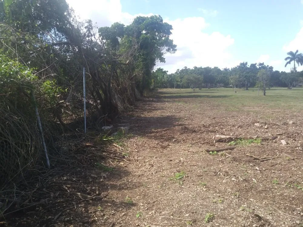 Reliable garden landscaping for outdoor upgrades in Homestead, FL by South Florida Landscaping Services