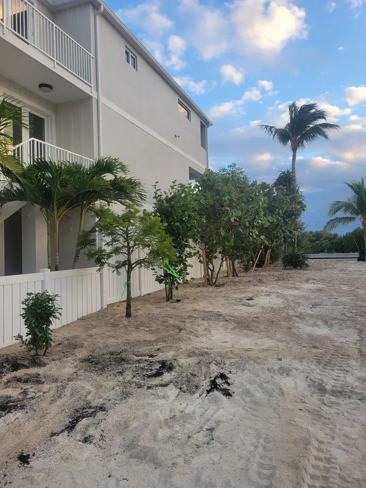 Professional landscaping services in Homestead, FL - South Florida Landscaping Services