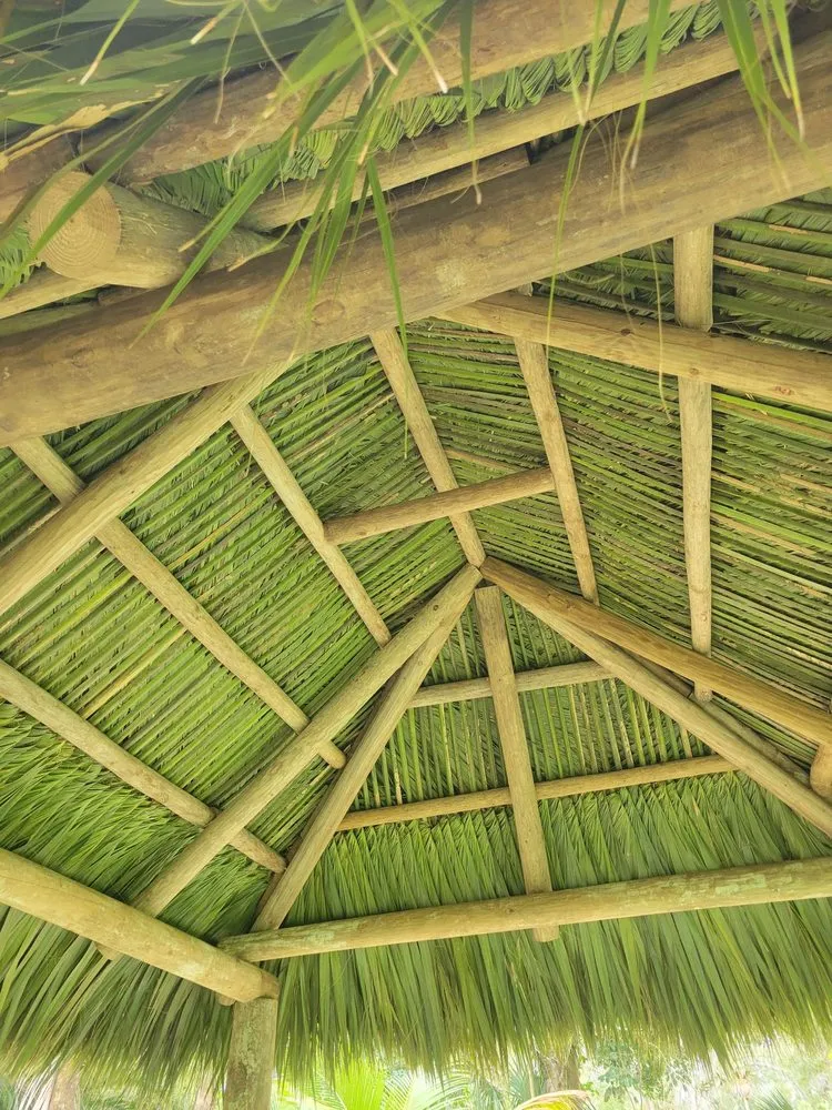 Reliable yard maintenance in Homestead, FL - South Florida Landscaping Services