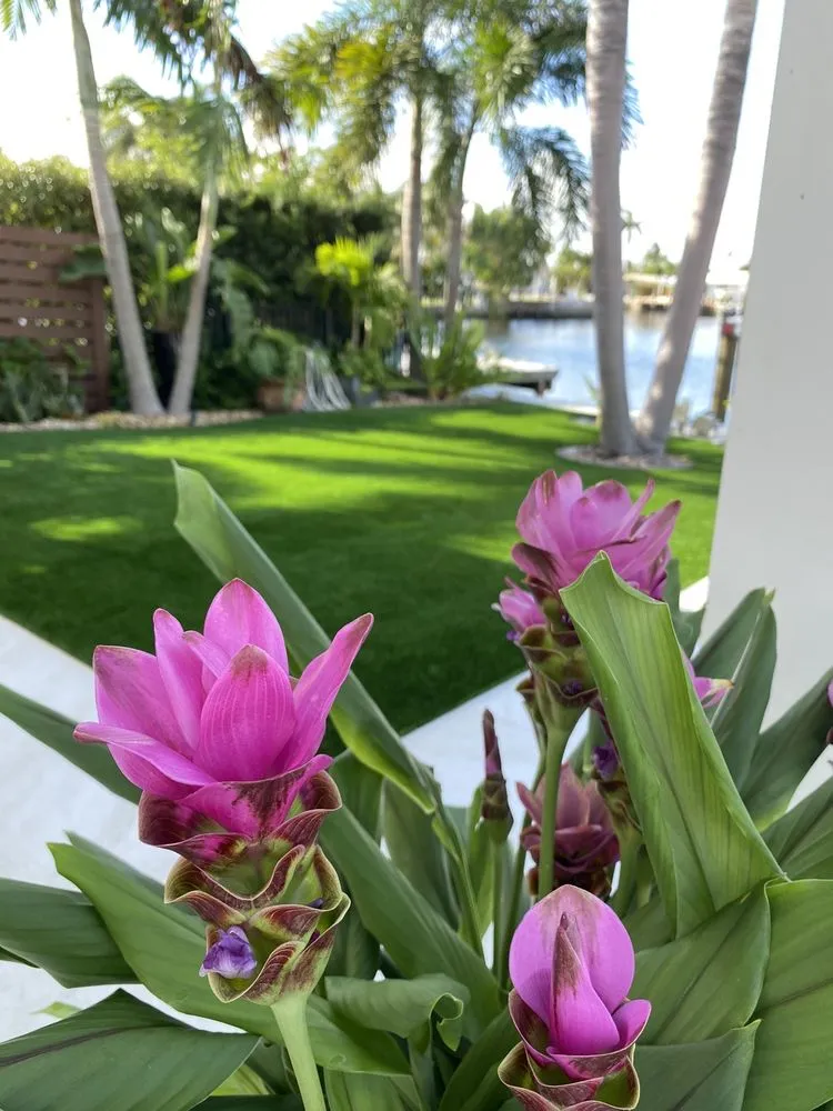 Reliable yard cleanup service in Boca Raton, FL - South Florida Putting Greens