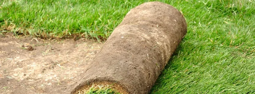 Trusted garden landscaping experts serving Key West, FL - South Garden Cleaning